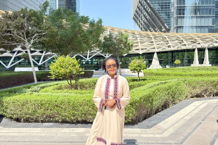 New Perspectives: The United Arab Emirates — detail