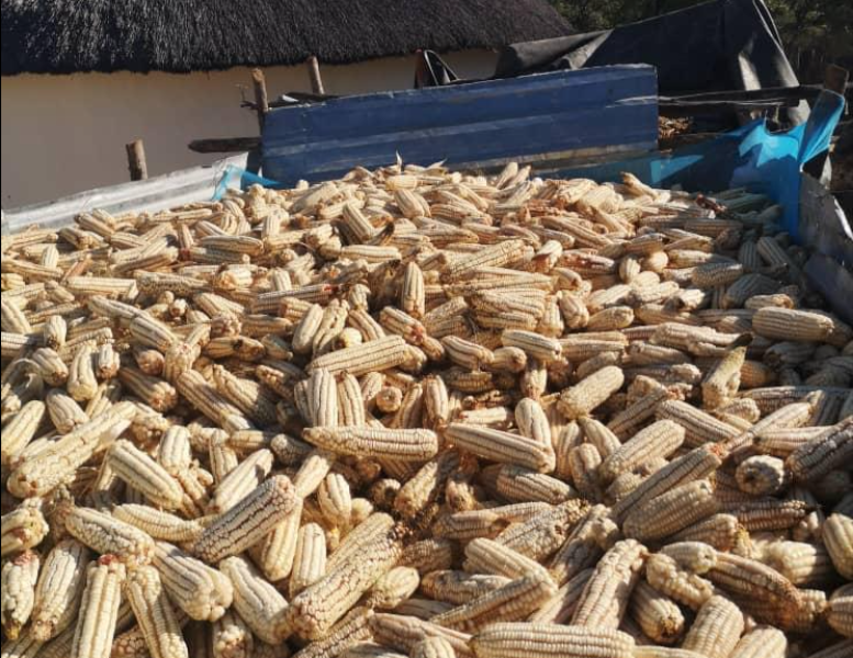 Zimbabwe: Where It All Began — detail